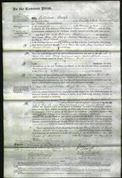 Court of Common Pleas - Mary Crosland-Original Ancestry