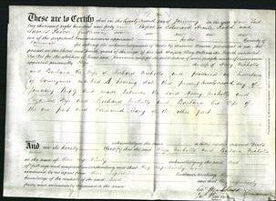Deed by Married Women - Eliza Nicholls and Barbara Nicholls-Original Ancestry