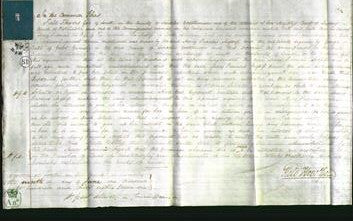 Court of Common Pleas - Mary Francis Mossop-Original Ancestry