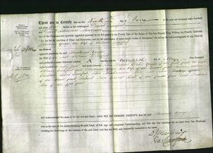 Deed by Married Women - Theodosia Yonge Crawford-Original Ancestry
