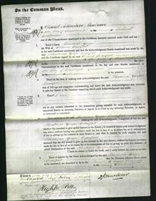 Court of Common Pleas - Theodosia Yonge Crawford-Original Ancestry