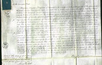 Court of Common Pleas - Ann Jackson-Original Ancestry