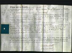 Deed by Married Women - Sophia Elizabeth Cudlipp-Original Ancestry