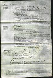 Court of Common Pleas - Ann Nicklinson-Original Ancestry