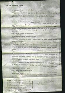 Court of Common Pleas - Elizabeth Bolton-Original Ancestry