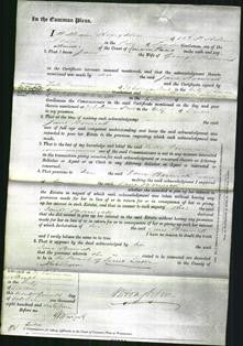 Court of Common Pleas - Jane Borwick-Original Ancestry