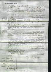 Court of Common Pleas - Sophia Elizabeth Cudlipp-Original Ancestry