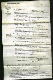 Court of Common Pleas - Elizabeth Wiles-Original Ancestry