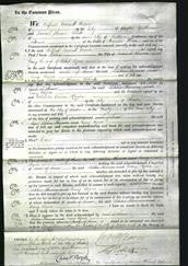 Court of Common Pleas - Mary Rogers-Original Ancestry