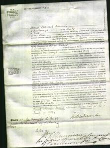 Court of Common Pleas - Rose Buxton-Original Ancestry