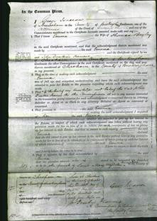 Court of Common Pleas - Emma Bayley-Original Ancestry