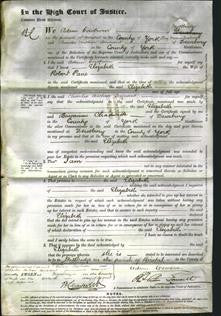 Court of Common Pleas - Elizabeth Pane-Original Ancestry