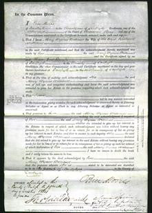 Court of Common Pleas - Mary Wynne Williams-Original Ancestry