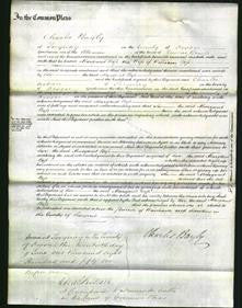 Court of Common Pleas - Margaret Boss-Original Ancestry