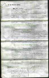 Court of Common Pleas - Mary Wrigley-Original Ancestry