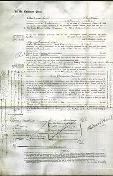 Court of Common Pleas - Charlotte Broom Laws-Original Ancestry