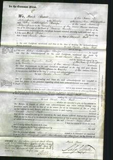 Court of Common Pleas - Sarah Ann Hall-Original Ancestry