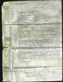 Court of Common Pleas - Sarah Shearman-Original Ancestry