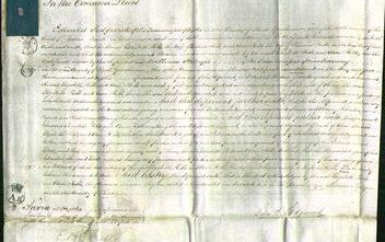 Court of Common Pleas - Elizabeth Hills and Ann Hills-Original Ancestry