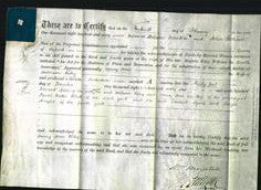Deed by Married Women - Mary Ann Riley-Original Ancestry