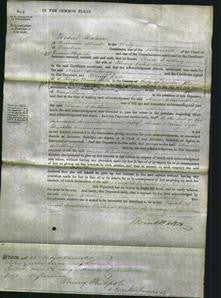 Court of Common Pleas - Anne Whitting-Original Ancestry