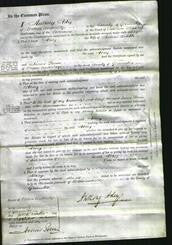 Court of Common Pleas - Mary Biddle #2-Original Ancestry