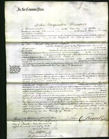 Court of Common Pleas - Elizabeth Axford-Original Ancestry