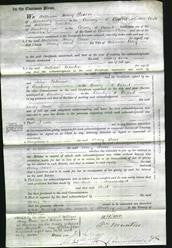 Court of Common Pleas - Mary Ann Riley-Original Ancestry