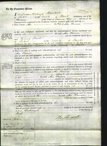 Court of Common Pleas - Ann Harrison-Original Ancestry