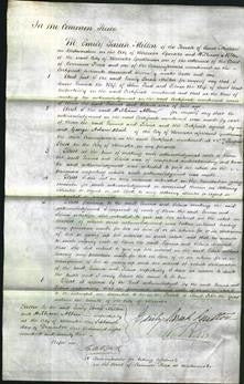 Court of Common Pleas - Emma Pratt and Selina Wait-Original Ancestry