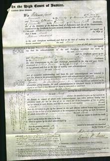 Court of Common Pleas - Sarah Hartland-Original Ancestry