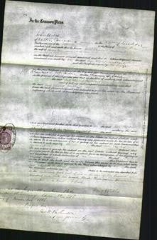 Court of Common Pleas - Jane Elizabeth Buckland-Original Ancestry