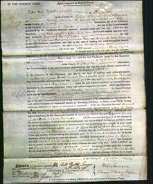 Court of Common Pleas - Elizabeth Ruish Pedler Makew and Arabella Frances Patridge-Original Ancestry