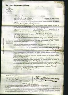 Court of Common Pleas - Zara Withyman-Original Ancestry