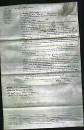 Court of Common Pleas - Lucy Willoughby-Original Ancestry