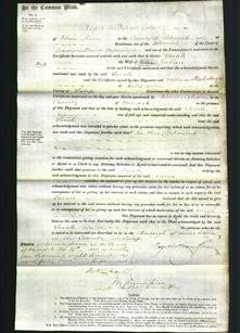 Court of Common Pleas - Sarah Gullen-Original Ancestry