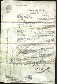 Court of Common Pleas - Eliza Symonds-Original Ancestry