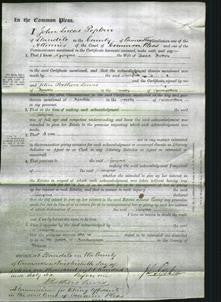 Court of Common Pleas - Georgina Trothers-Original Ancestry