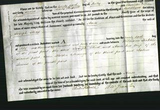 Deed by Married Women - Ann Steed-Original Ancestry