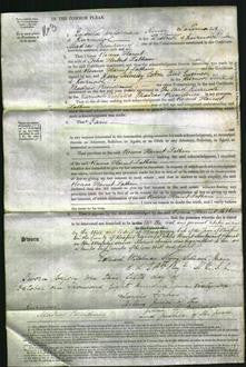 Court of Common Pleas - Rosina Harriet Latham-Original Ancestry