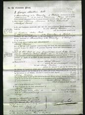 Court of Common Pleas - Mary Susan Owen-Original Ancestry