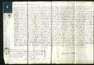 Court of Common Pleas - Mary Germain-Original Ancestry