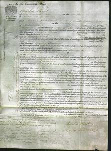 Court of Common Pleas - Ann Steed-Original Ancestry