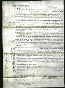 Court of Common Pleas - Lydia Ann Pickles-Original Ancestry