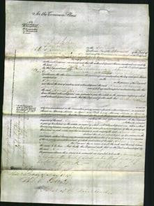 Court of Common Pleas - Anne Teresa Smith-Original Ancestry