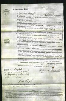 Court of Common Pleas - Sarah Lonnon-Original Ancestry