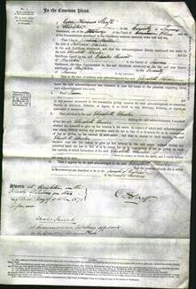 Court of Common Pleas - Elizabeth Wheeler-Original Ancestry