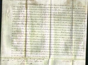 Court of Common Pleas - Mary Linnell-Original Ancestry