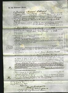 Court of Common Pleas - Maria Matilda Fussell-Original Ancestry