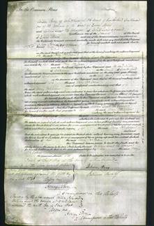 Court of Common Pleas - Mary McAdam-Original Ancestry